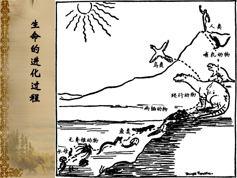 第1课史前时期的人类_第3页