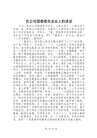 在公司团委委员会议上的讲话