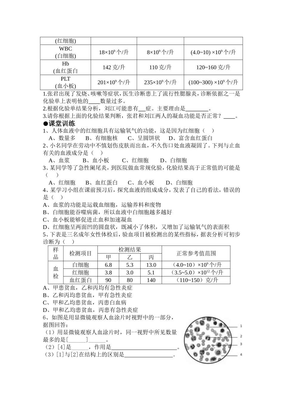 流动的组织导学案_第3页