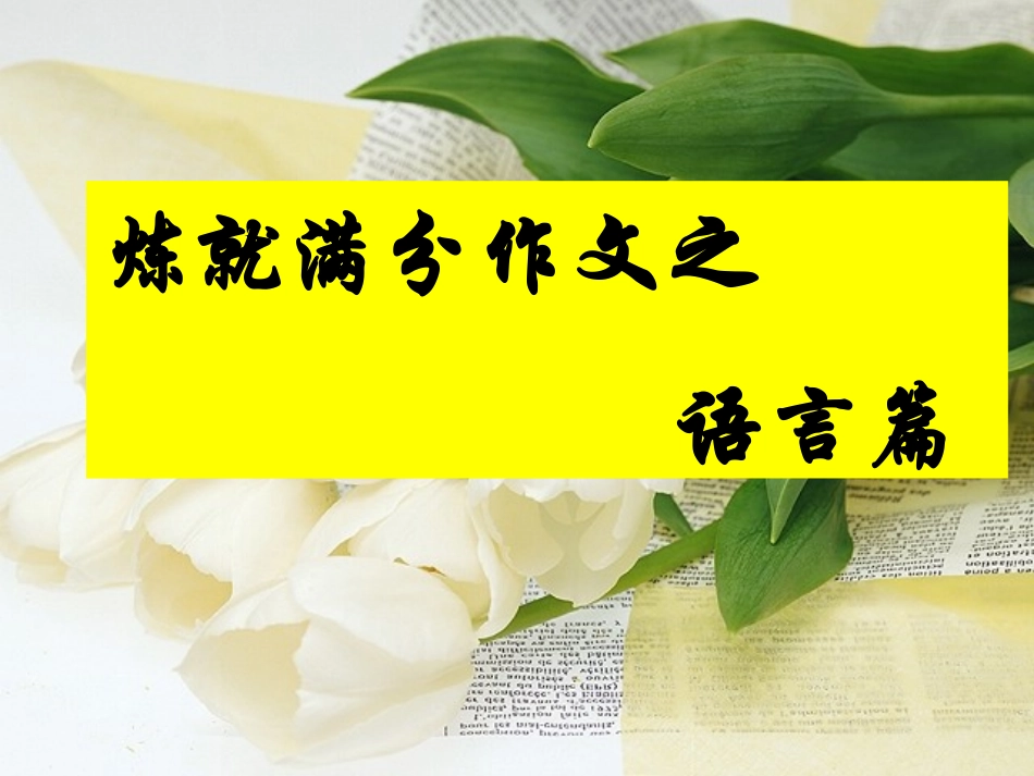 初中语文满分作文写作技巧（语言篇）_第2页