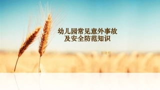 幼儿园常见意外事故及处理