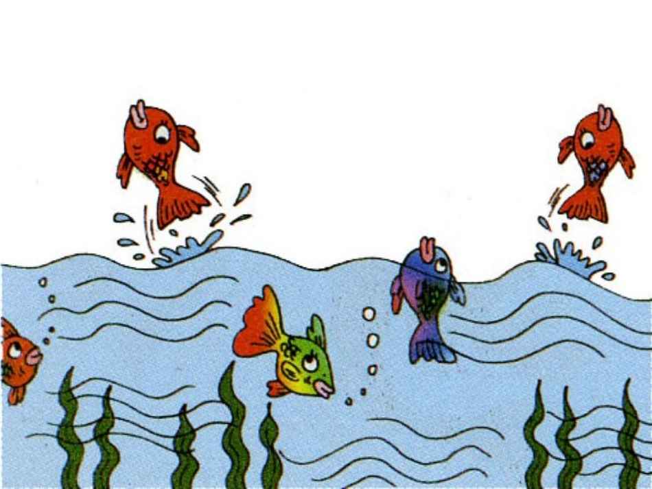 动物是我们的朋友1_第3页