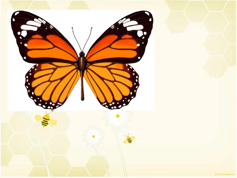 二年级上美术课件-对折剪纸人教新课标(2014)_第2页