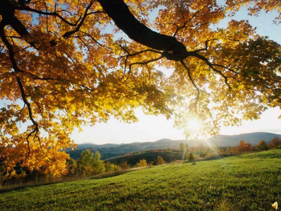 哦，林中那间小屋_第2页