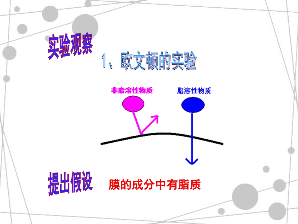 生物膜的流动镶嵌模型2_第3页