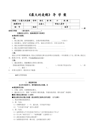 最大的麦穗导学案