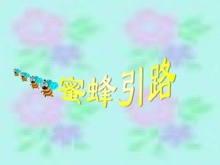 《蜜蜂引路》课件