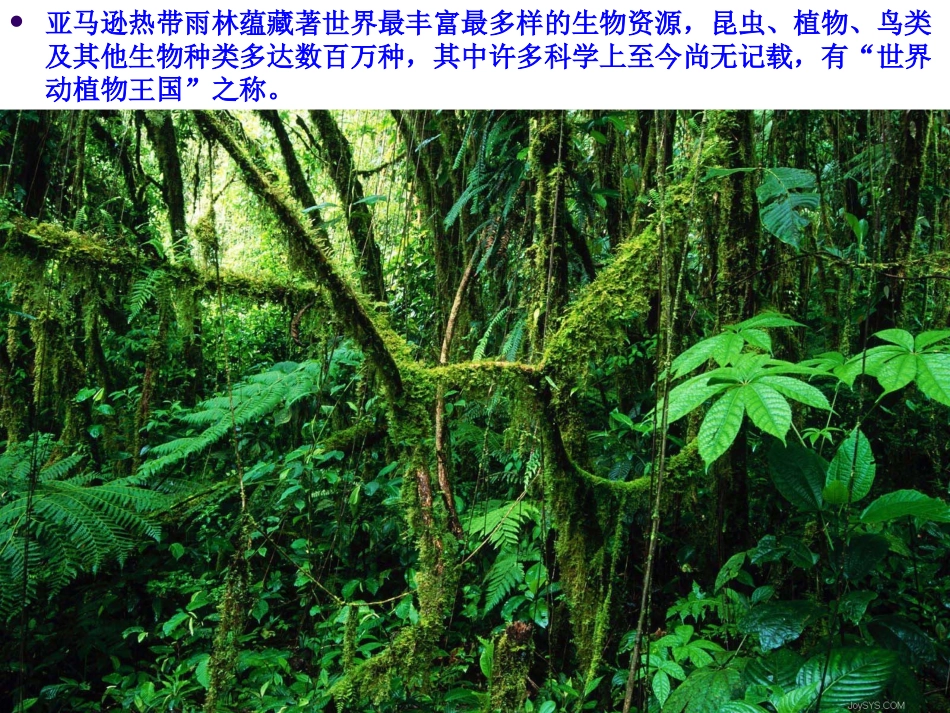 教科版科学五年级上册《维护生态平衡》PPT课件3_第2页