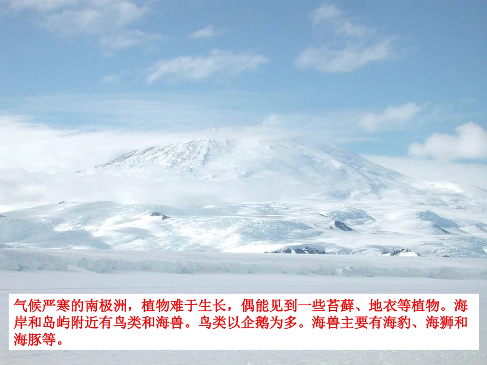 教科版科学五年级上册《维护生态平衡》PPT课件3_第3页