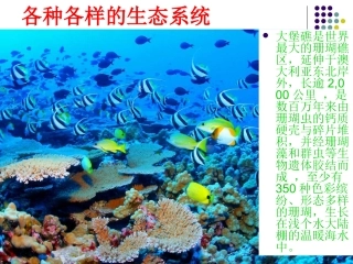 教科版科学五年级上册《维护生态平衡》PPT课件3
