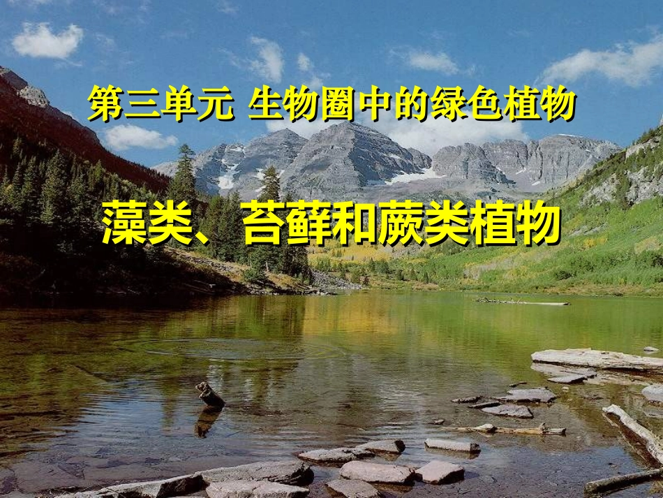 人教版七年级生物上册七年级生物藻类苔藓和蕨类植物_第1页
