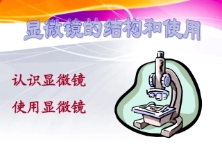 显微镜的结构和使用