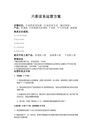 京东店铺运营方案