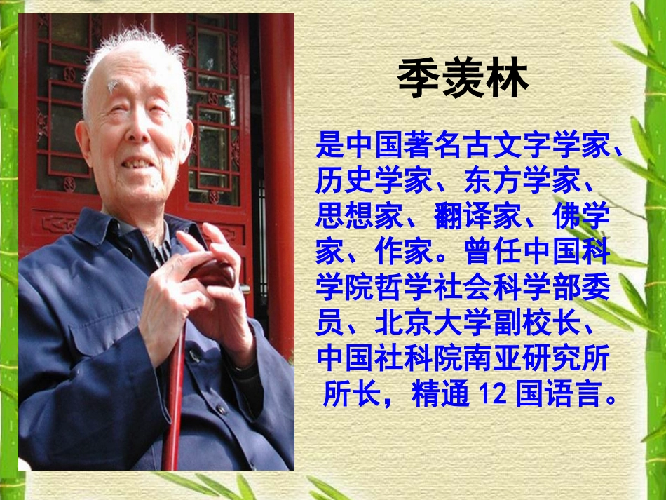 小苗与大树的对话_PPT课件_第3页