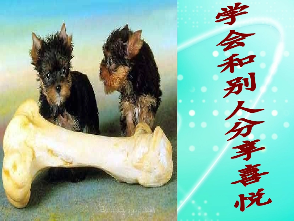 中学生的人际交往(矛盾处理)_第2页