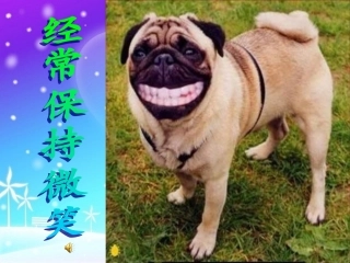 中学生的人际交往(矛盾处理)