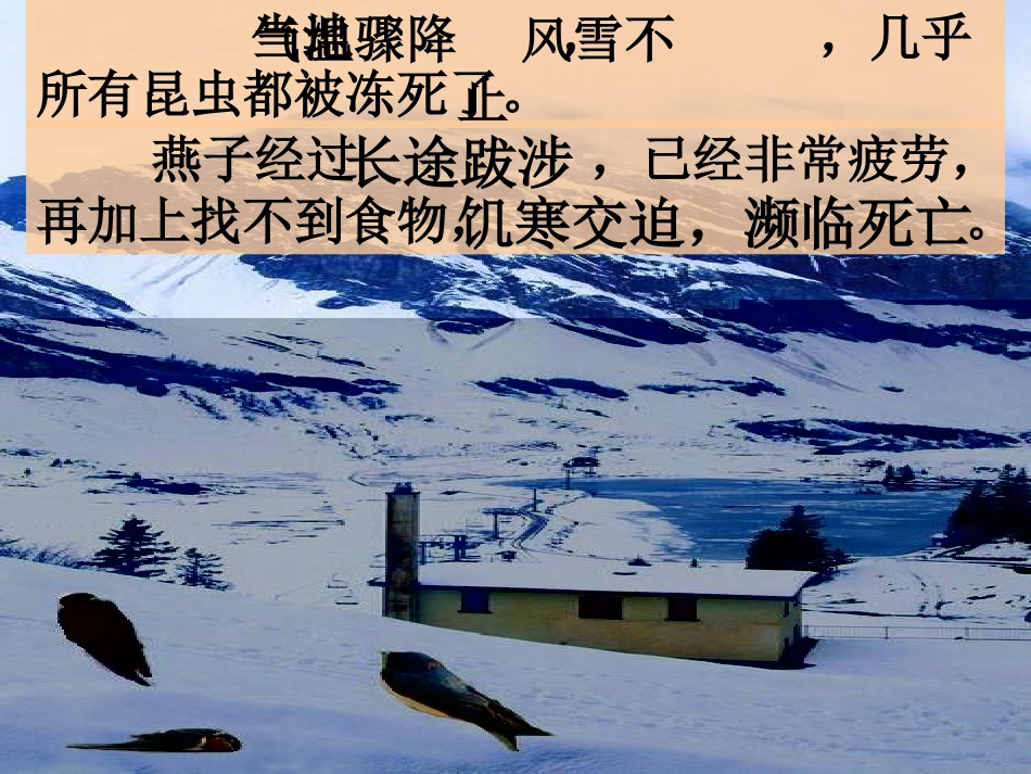 《燕子专列》课件_第3页