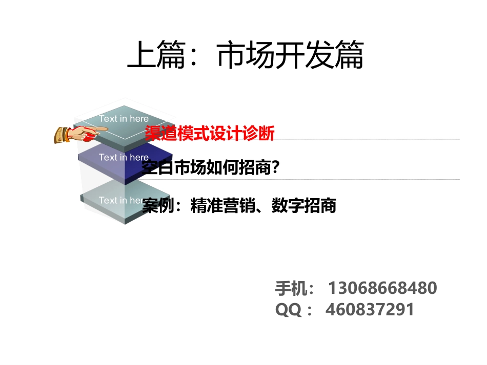 家居建材市场开发篇(上篇-方太柏厨)42_第2页