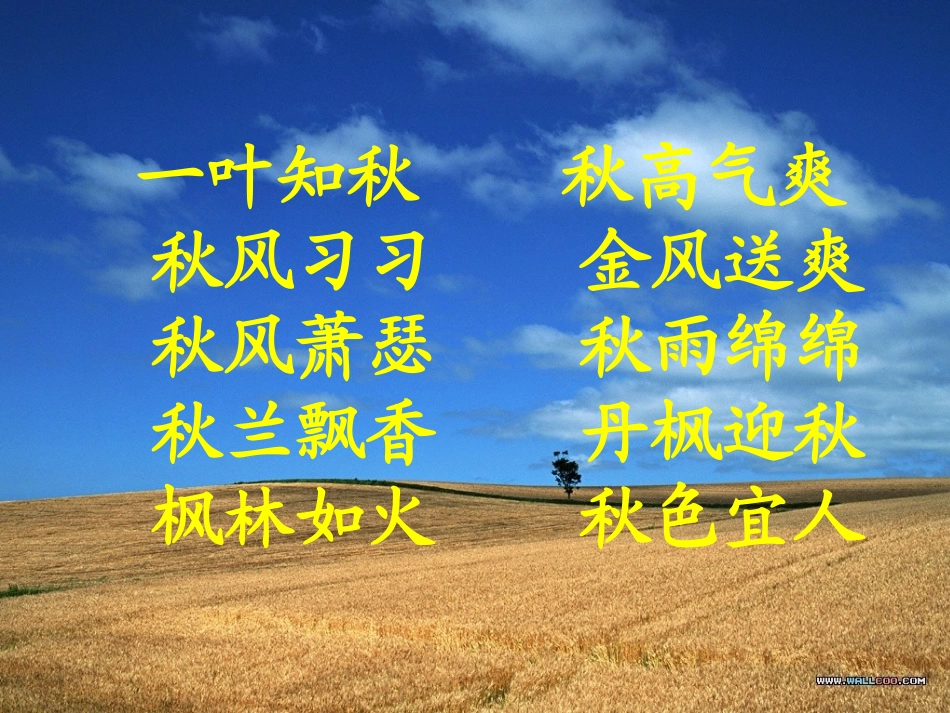 北大荒的秋天_课件_第1页