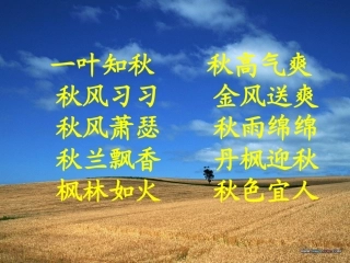 北大荒的秋天_课件