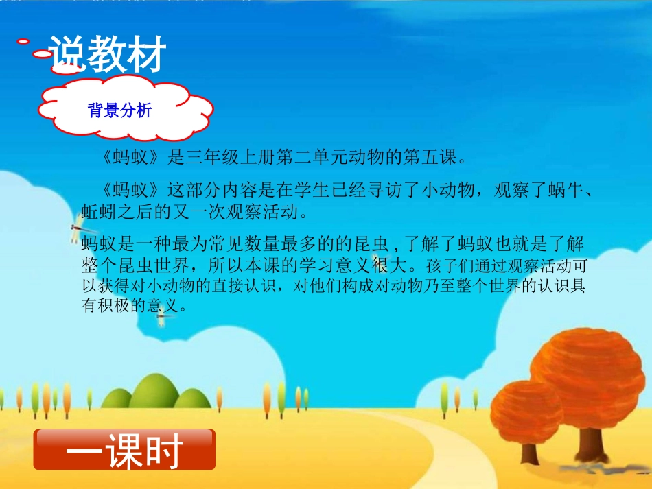 《蚂蚁》三年级科学说课稿课件（江艺）_第3页