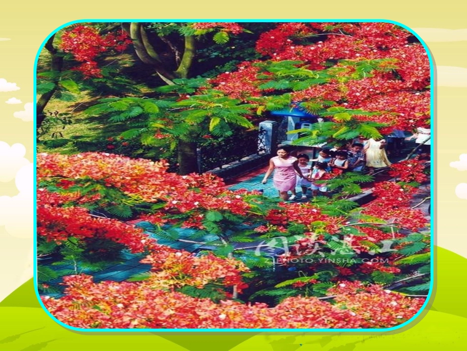 欢乐的泼水节_第1页