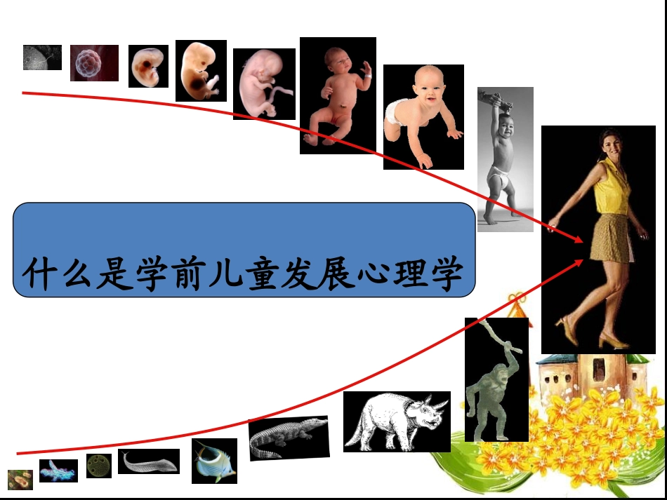 学前儿童发展心理学总论_第2页