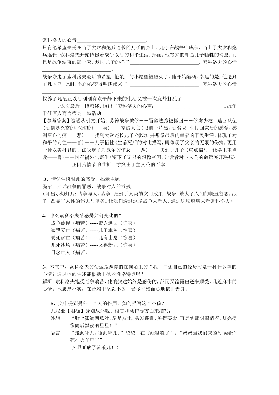 一个人的遭遇教案1_第2页