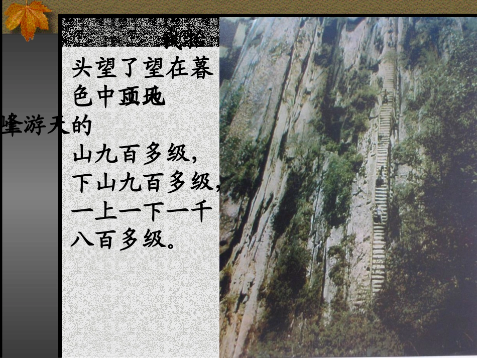 天游峰第二课时改_第3页