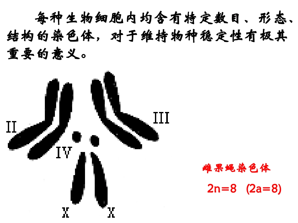 减数分裂和受精作用 (2)_第1页