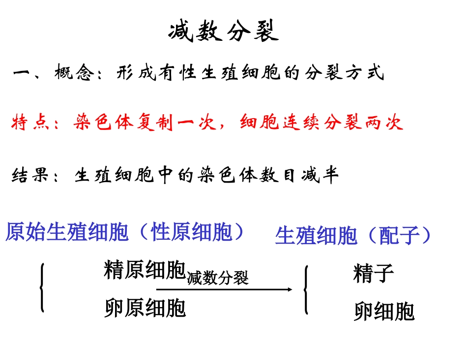 减数分裂和受精作用 (2)_第3页