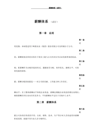 新薪酬体系(定稿)