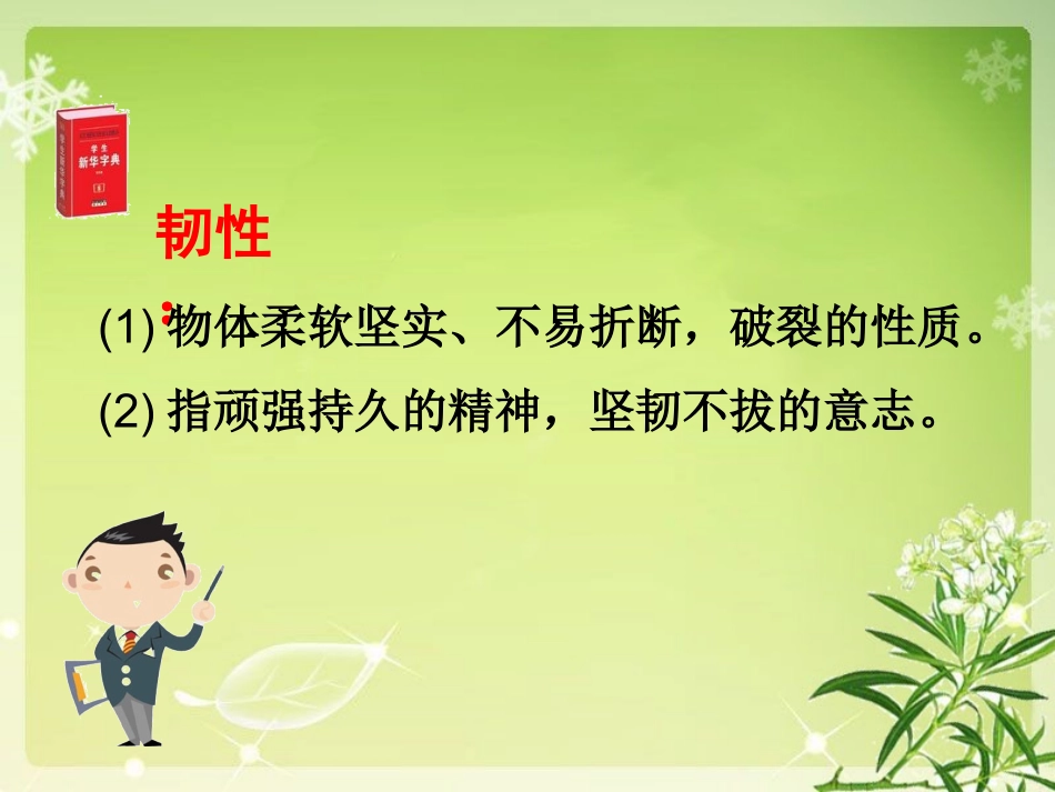 夹竹桃(课件)——修改后2014922_第3页