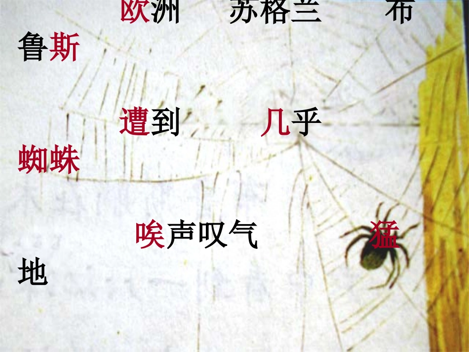 三上《第八次》修改好PPT_第3页