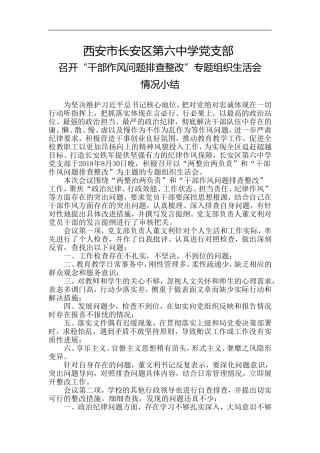 干部作风问题排查整改