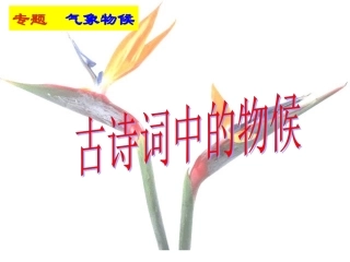 古代诗词中的物候第二课时