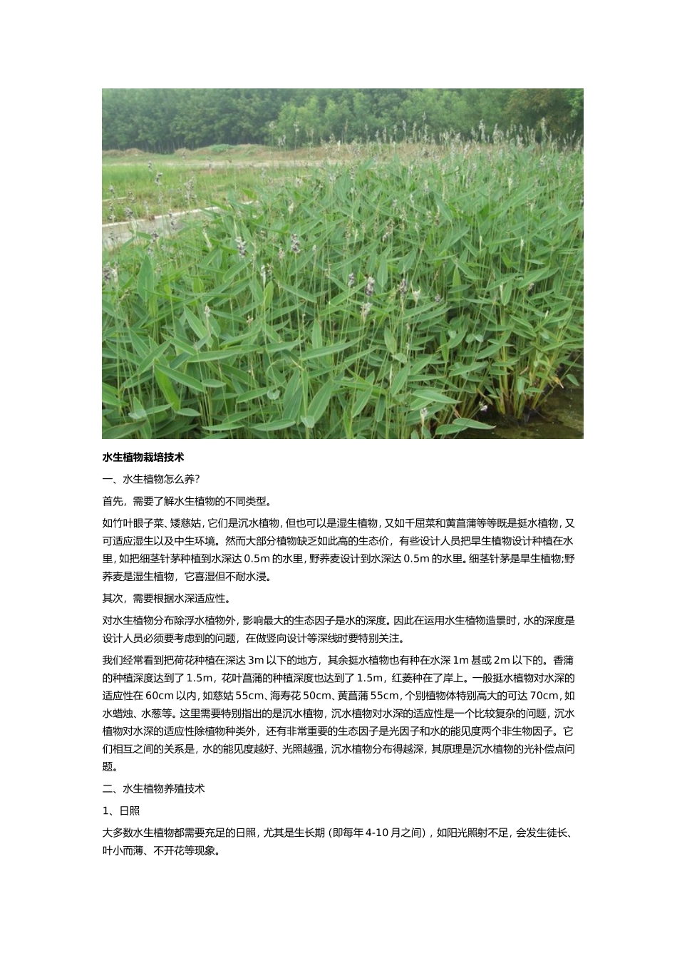 水生植物的栽培与园林养护要点_第2页