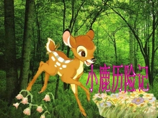 大班故事：小鹿历险记