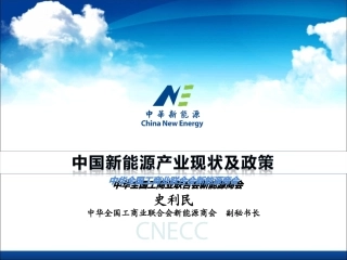 中国新能源产业现状及政策