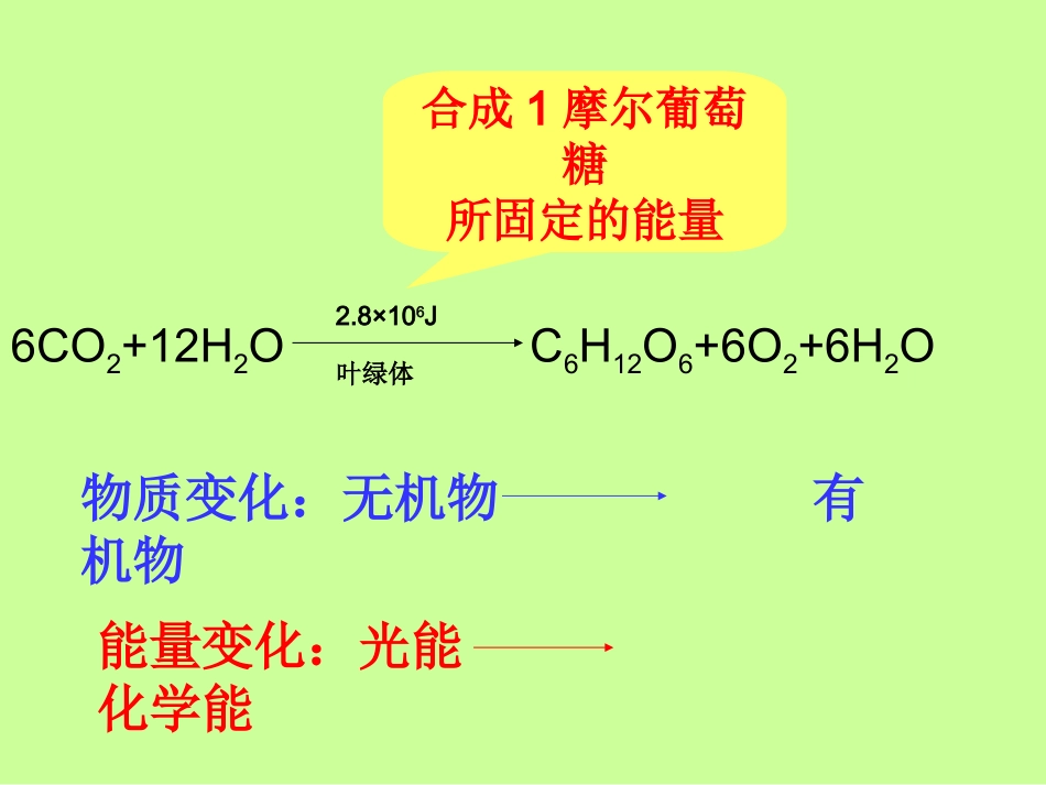 生态系统中的生产量和生物量_第3页