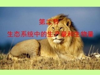 生态系统中的生产量和生物量