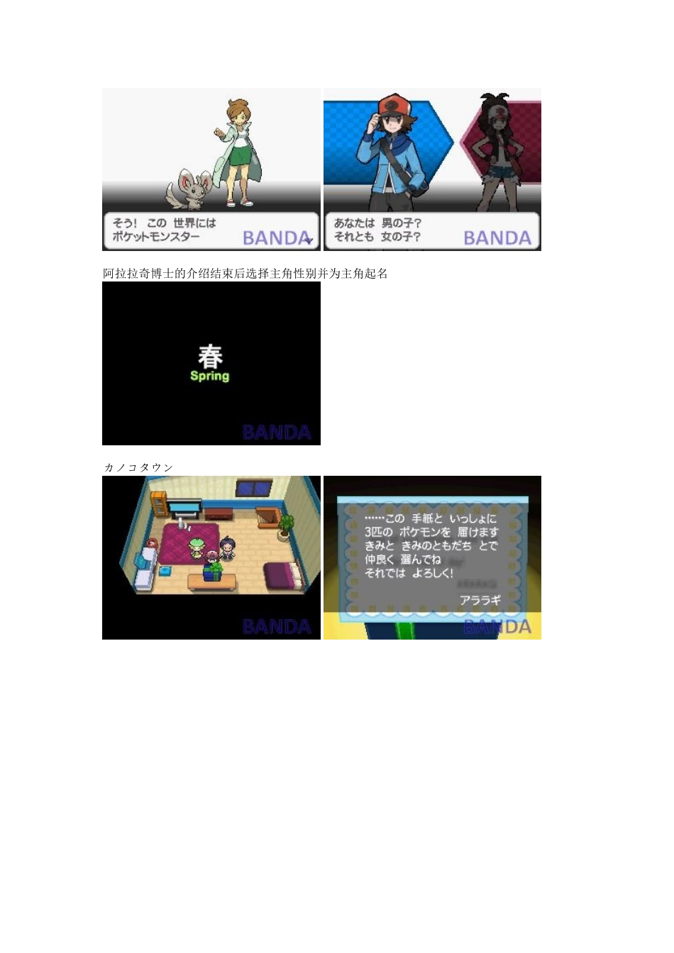 口袋妖怪黑白详细图文攻略_第2页