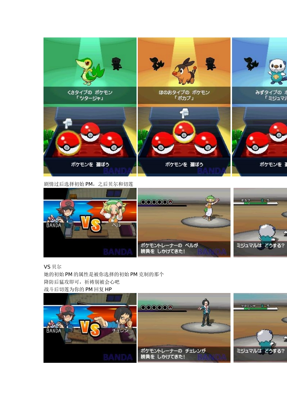 口袋妖怪黑白详细图文攻略_第3页