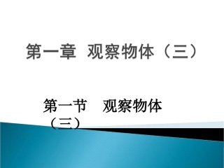 观察物体(三)PPT
