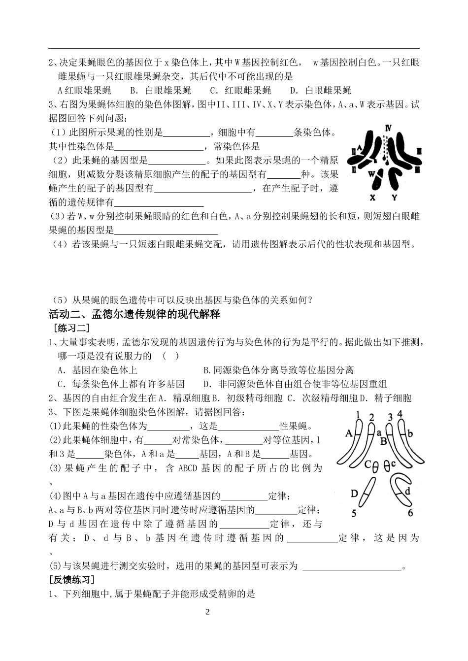 基因在染色体上 (2)_第2页