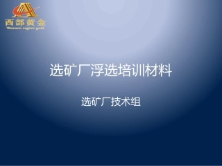 选矿厂浮选培训材