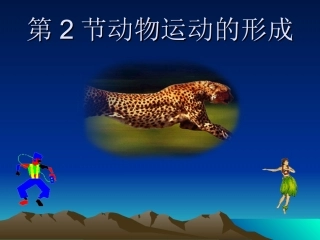 动物运动的形成