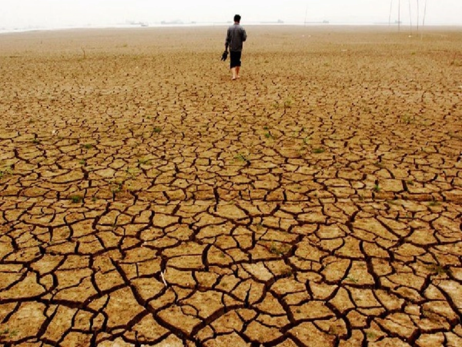 市场配置资源 优秀课件_第2页