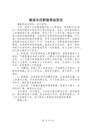 副县长任职前表态发言