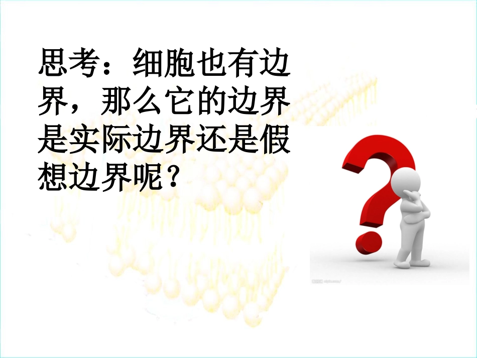 细胞膜——系统的边界-公开课_第3页